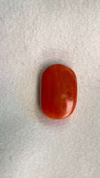 RED CORAL - 13.17 Carat