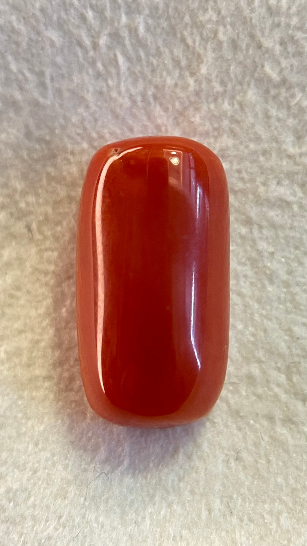 RED CORAL - 7.58 carat
