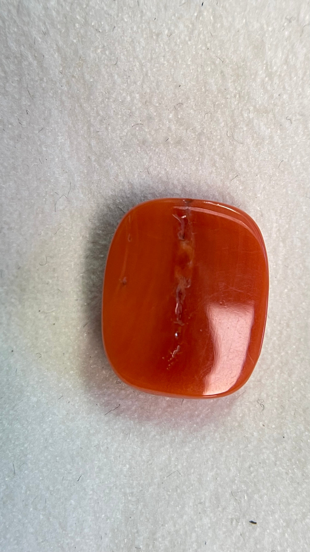 RED CORAL - 10.13 carat