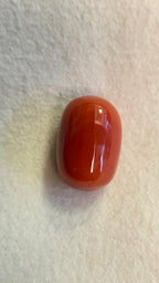 RED CORAL - 8.8 Carat