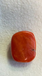 RED CORAL - 13.2 Carat