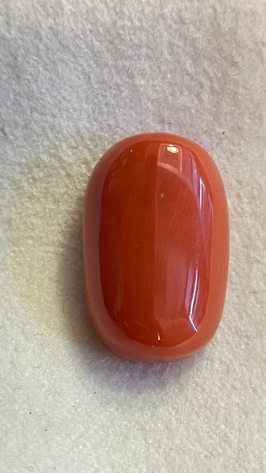RED CORAL - 11.77 Carat