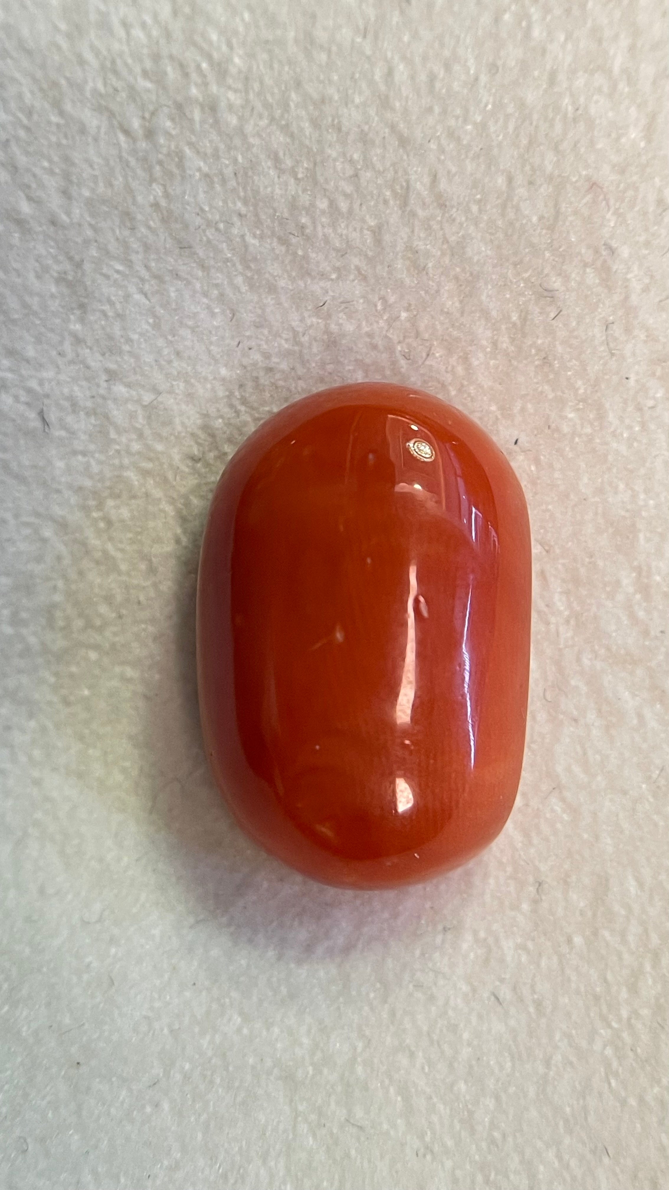 RED CORAL - 13.17 Carat