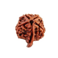 Ganesh Rudraksha