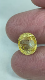 Yellow sapphire - 5.5 Carat.