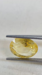 Yellow Sapphire - 4.46 Carat